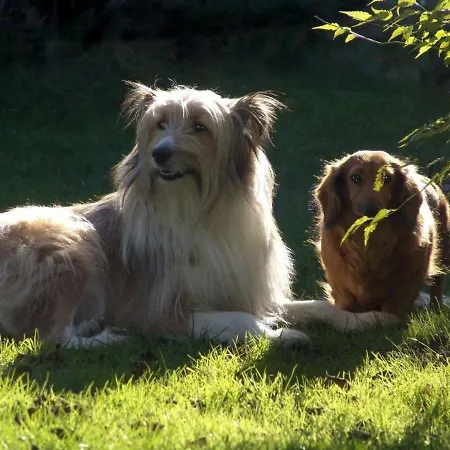 Ferienwohnung Fur Zwei Personen Mit Schonem Garten Am Waldrand Daire Waldsassen
